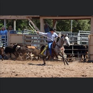 Meet your Posher, Logan